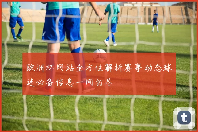 欧洲杯网站全方位解析赛事动态球迷必备信息一网打尽