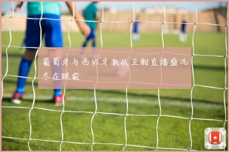 葡萄牙与西班牙激战正酣直播盛况尽在眼前