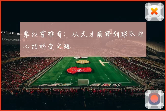 弗拉霍维奇：从天才前锋到球队核心的蜕变之路