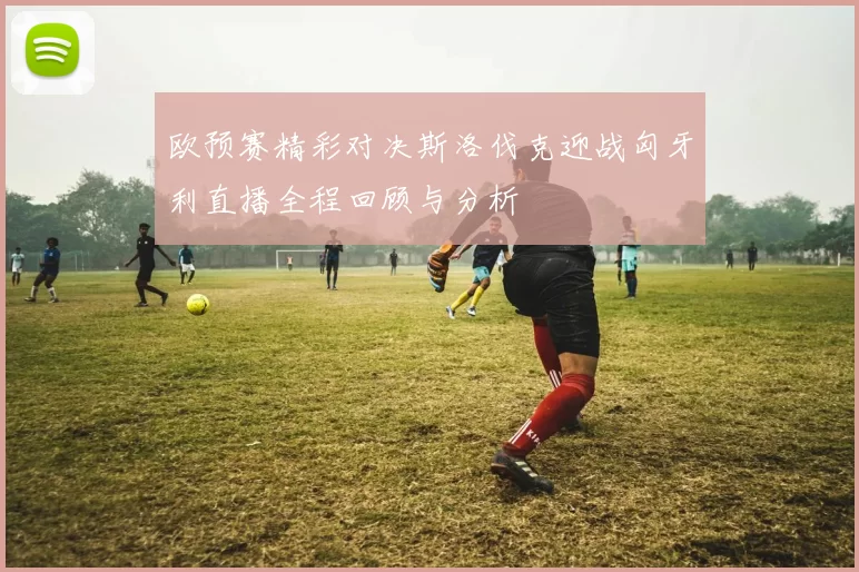 欧预赛精彩对决斯洛伐克迎战匈牙利直播全程回顾与分析